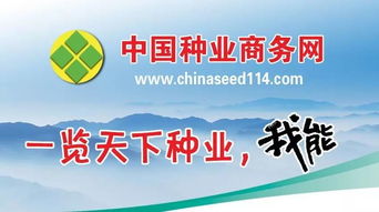 中國種業(yè)商務網 種子包裝二維碼系統(tǒng) 請您驗收