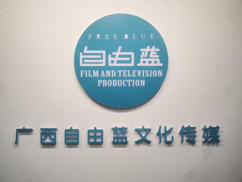 央媒品牌天下播報(bào)全國亞健康標(biāo)準(zhǔn)化建設(shè)新聞發(fā)布會(huì)在廣西南寧召開